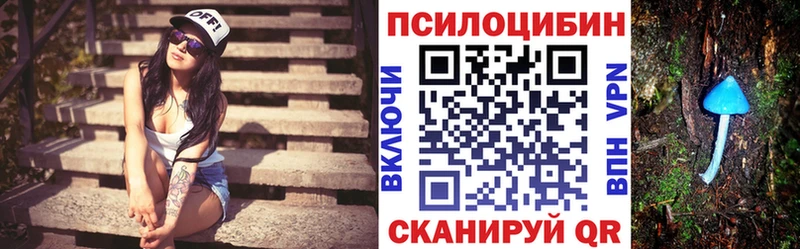 mega ссылка  Каспийск  Псилоцибиновые грибы Cubensis  где купить  