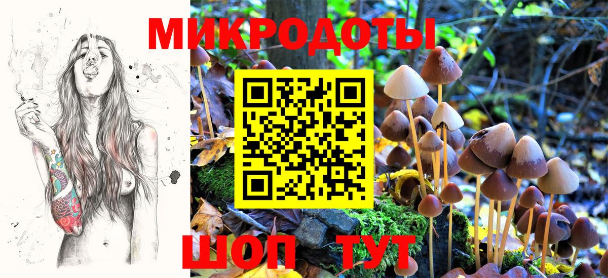 Каспийск  Псилоцибиновые грибы Psilocybe  Вход с VPN 